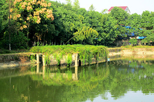 榴莲视频色板大全園湖光美景