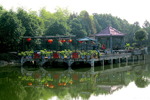 榴莲视频色板大全園