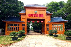 湖南榴莲视频色板大全集團