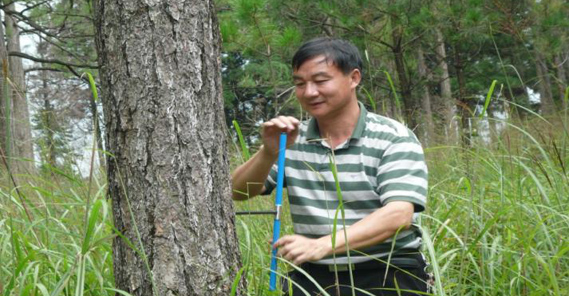 中南林業科技大學研究員，碩士生導師