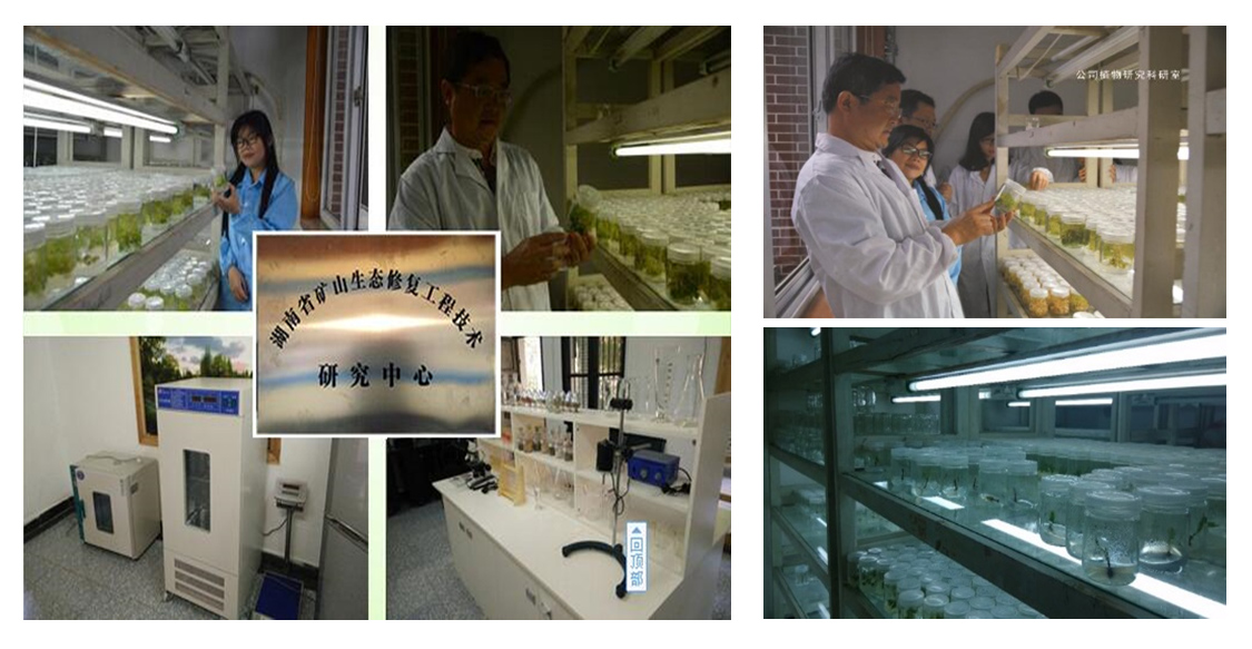 湖南省礦山生態榴莲视频网站进入口技術研究中心