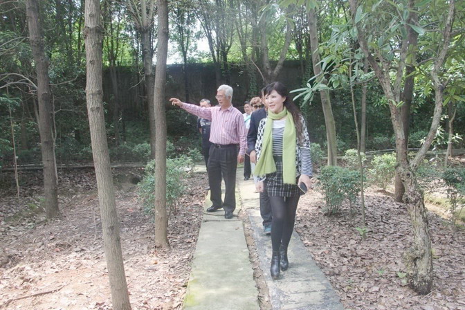 安豐傑會長至榴莲视频色板大全生態總部基地視察 安豐傑會長至榴莲视频色板大全生態總部基地視察