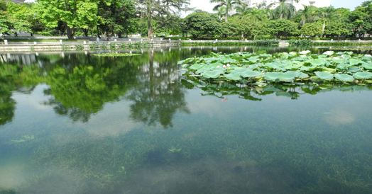 水生態榴莲视频网站进入口3 水生態榴莲视频网站进入口3