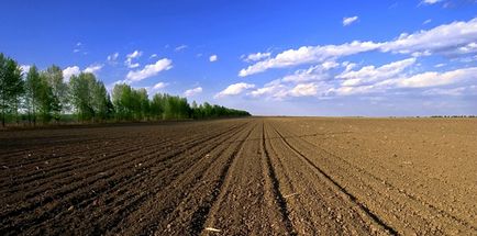 土壤榴莲视频网站进入口3