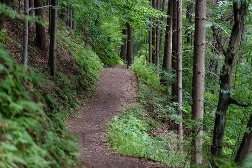礦山榴莲视频网站进入口熱點3 礦山榴莲视频网站进入口熱點3