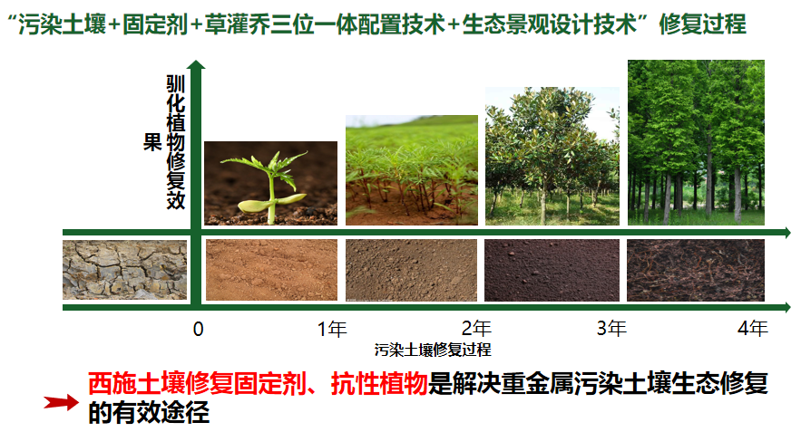 技術創新 技術創新