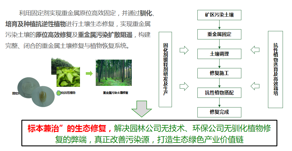 榴莲视频网站进入口方案優勢 榴莲视频网站进入口方案優勢