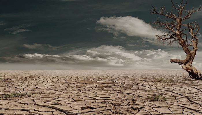 desert-drought-dehydrated-clay-soil-60013 desert-drought-dehydrated-clay-soil-60013