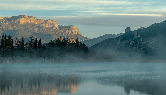 calm-waters-dawn-daylight-1768847 calm-waters-dawn-daylight-1768847