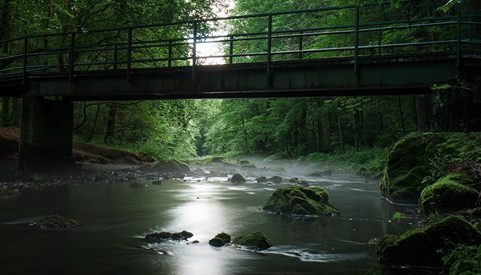bridge-fog-mist-158742 bridge-fog-mist-158742