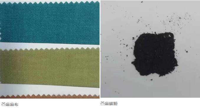 苧麻 苧麻