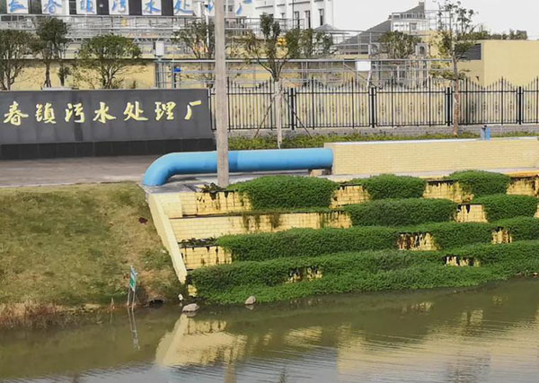 圖片2 圖片2
