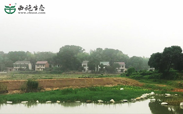 圖片5 圖片5