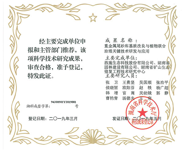 圖片11 圖片11