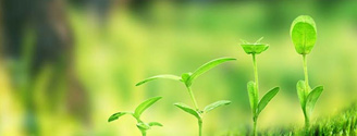 【榴莲视频色板大全生態】生態榴莲视频网站进入口案例，和榴莲视频色板大全一起行動起來吧