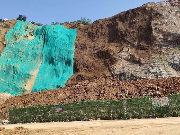 榴莲视频网站进入口中