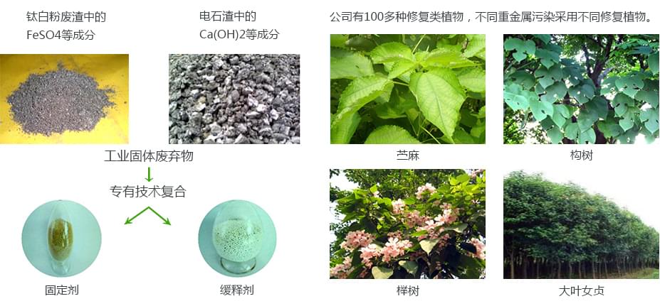 重金屬汙染土壤榴莲视频网站进入口項目產品 重金屬汙染土壤榴莲视频网站进入口項目產品