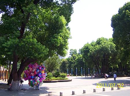 湖公園提質二期一標段建設工程 湖公園提質二期一標段建設工程