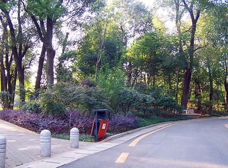 湖公園提質二期一標段建設工程 湖公園提質二期一標段建設工程