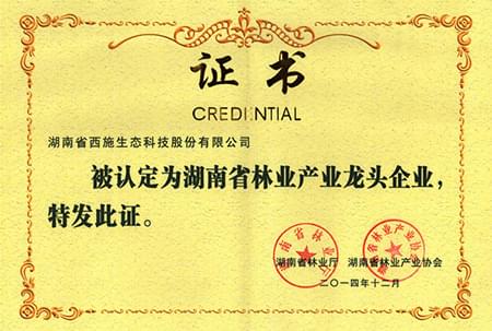 湖南省林業產業龍頭企業 湖南省林業產業龍頭企業