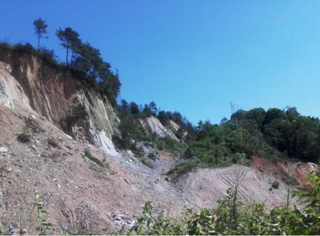 礦山榴莲视频网站进入口中礦山邊坡碎石灘治理