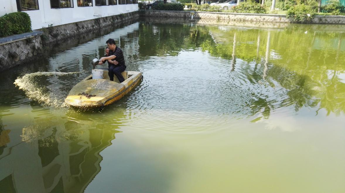 深圳市香密湖管理處內湖生態治理