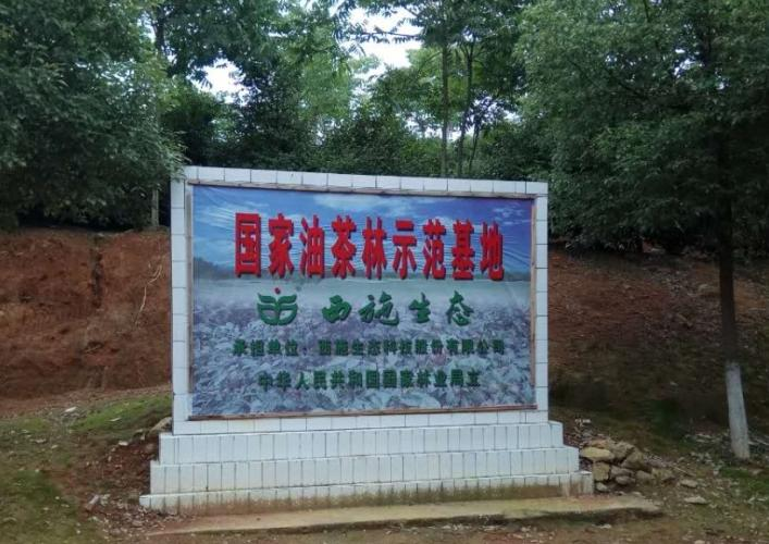 泥江口2 泥江口2