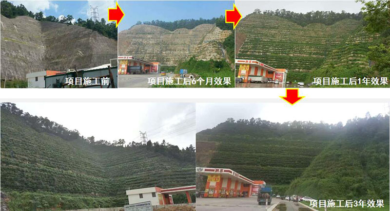 珠海市鬥門區山體邊坡生態榴莲视频网站进入口