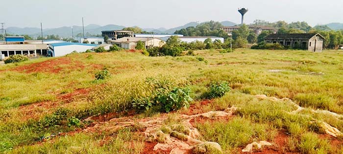 榴莲视频网站进入口後2