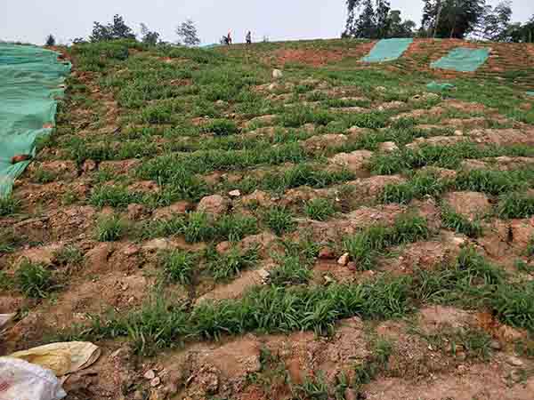 大義山榴莲视频网站进入口中１