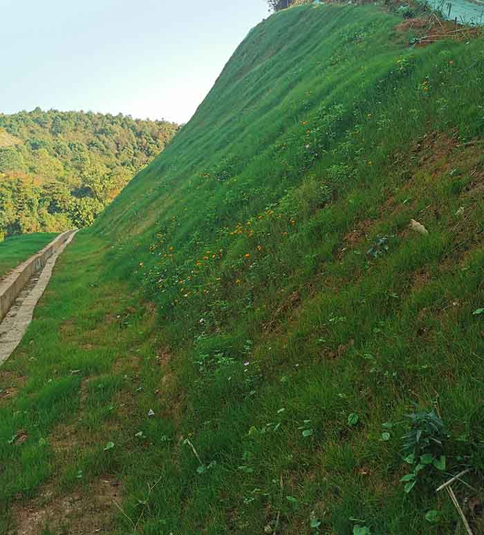 榴莲视频网站进入口後圖4guanw