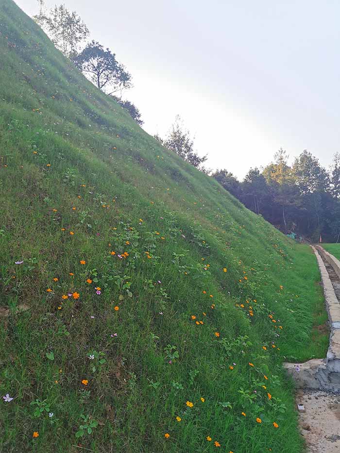 榴莲视频网站进入口後1guangw