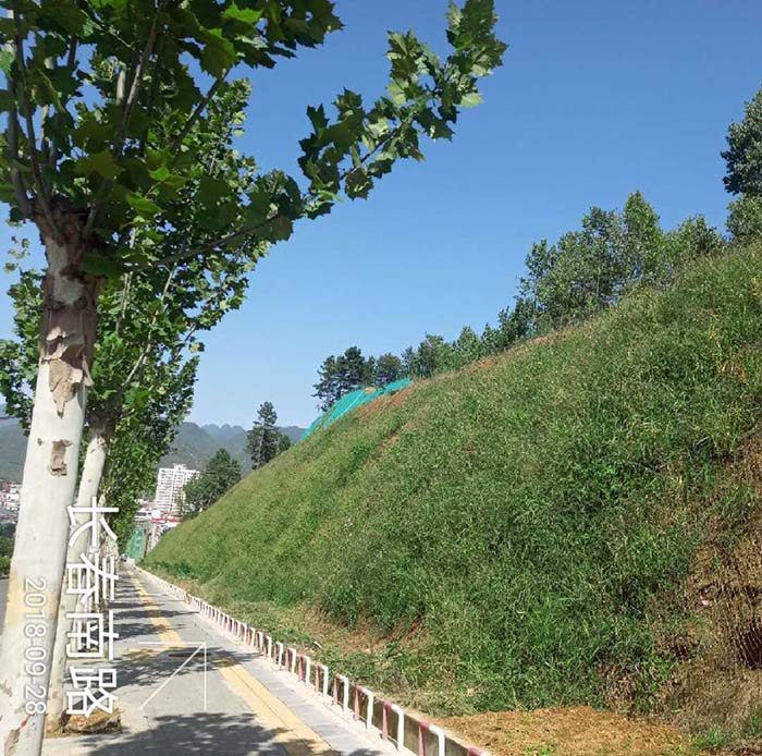 河南省洛陽市欒川縣老君山景區山體榴莲视频网站进入口