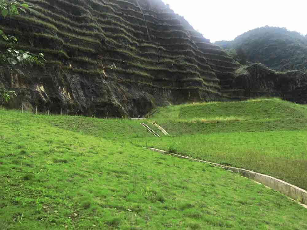 榴莲视频网站进入口後x