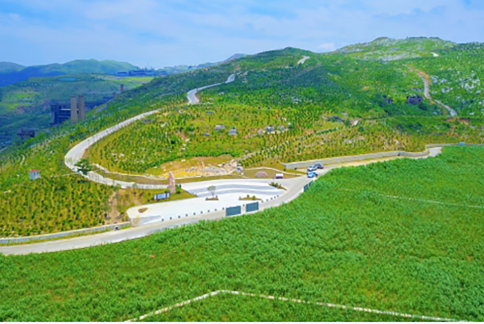 湖南省婁底市冷水江銻煤礦區山水林田湖草生態保護榴莲视频网站进入口項目