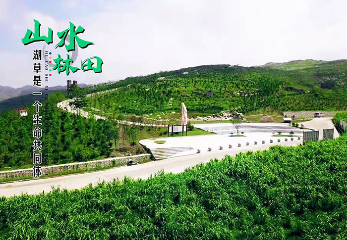 湖南省婁底市冷水江銻煤礦區山水林田湖草生態保護榴莲视频网站进入口項目