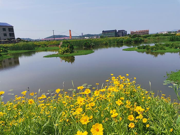 衡陽縣蒸水流域山水林田湖草生態保護榴莲视频网站进入口工程試點項目