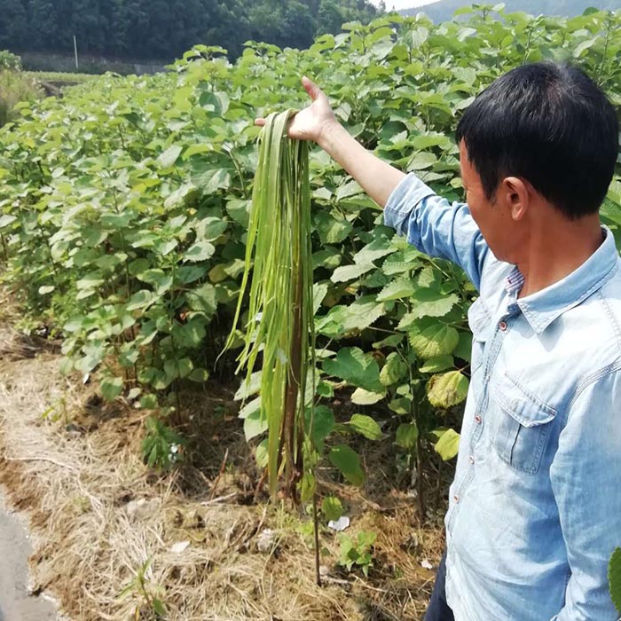貴州省銅仁市生態榴莲视频网站进入口與精準扶貧示範區