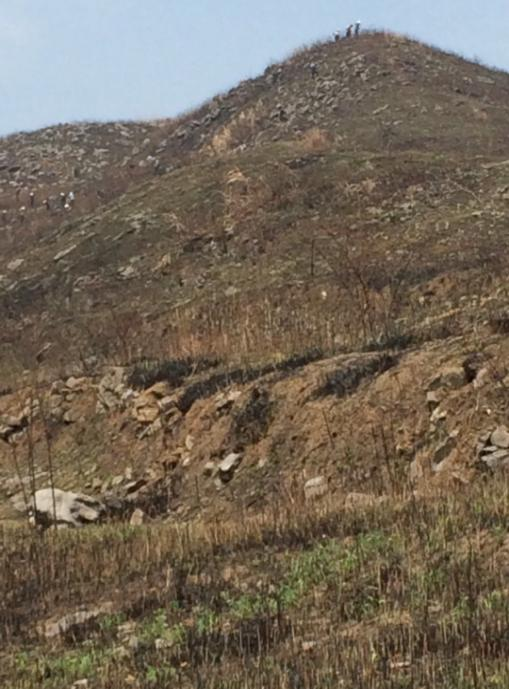 冷水江錫礦山榴莲视频网站进入口前