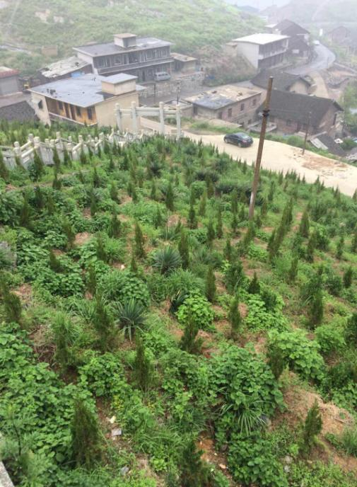 冷水江錫礦山榴莲视频网站进入口中1 冷水江錫礦山榴莲视频网站进入口中1