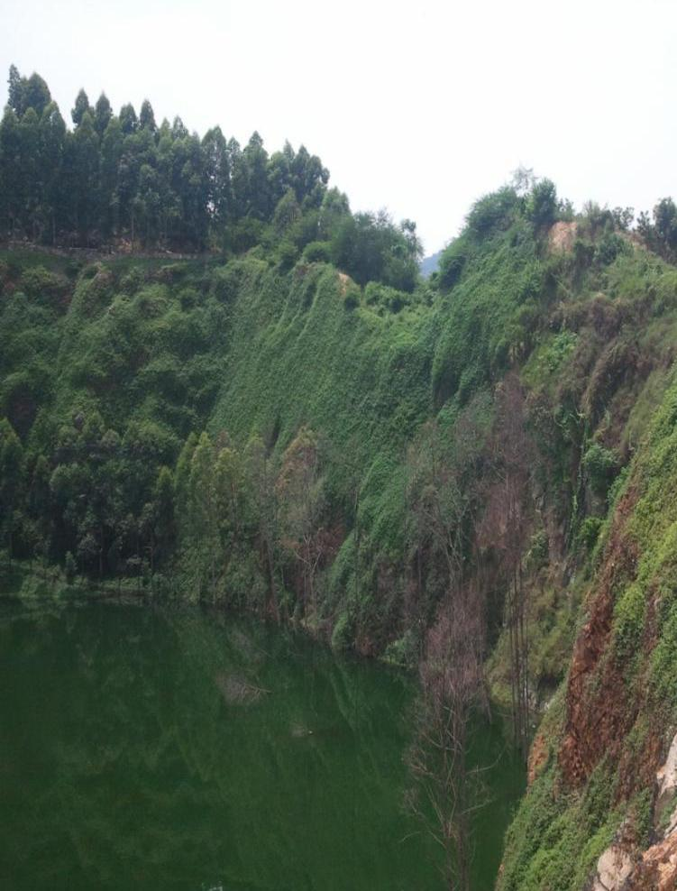 東莞黃閣嶺采石場土工格柵法山體榴莲视频网站进入口
