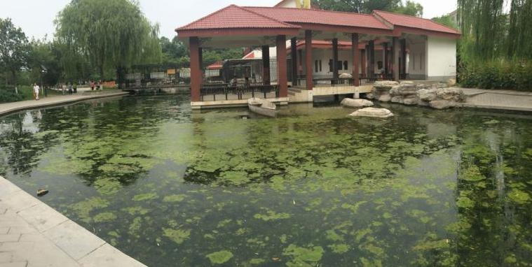 河北省保定市公園水生態之汙水榴莲视频网站进入口處理