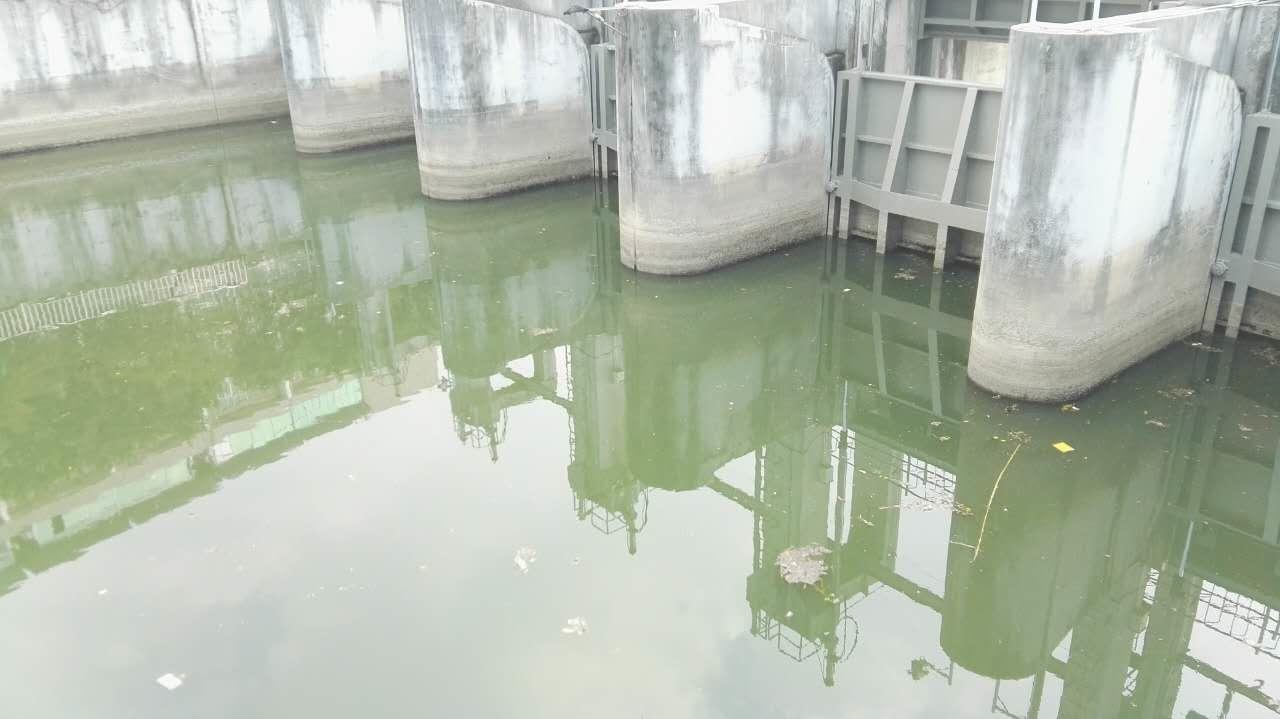深圳市新洲河出海口河道生態榴莲视频网站进入口汙水處理