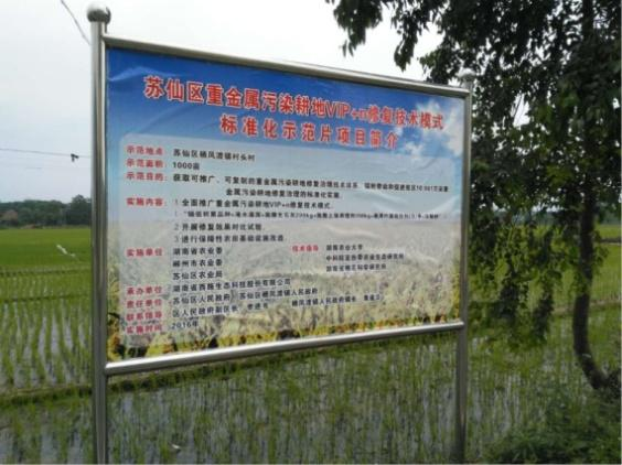 湖南省郴州市蘇仙區千畝農田鎘汙染榴莲视频网站进入口項目