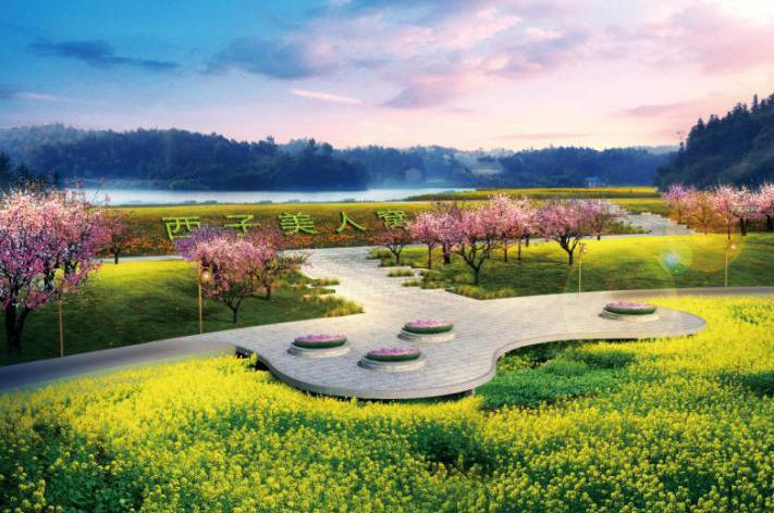 美人窩3 美人窩3