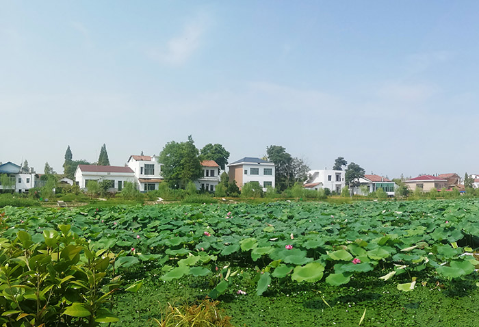 榴莲视频网站进入口後２x