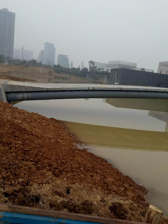 洋湖濕地生態榴莲视频网站进入口與保育工程