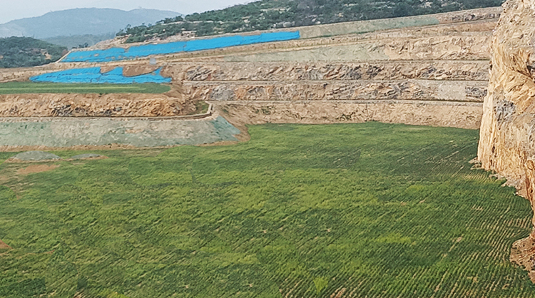 鶴壁市淇濱區南太行地區山水林田湖草生態保護榴莲视频网站进入口工程