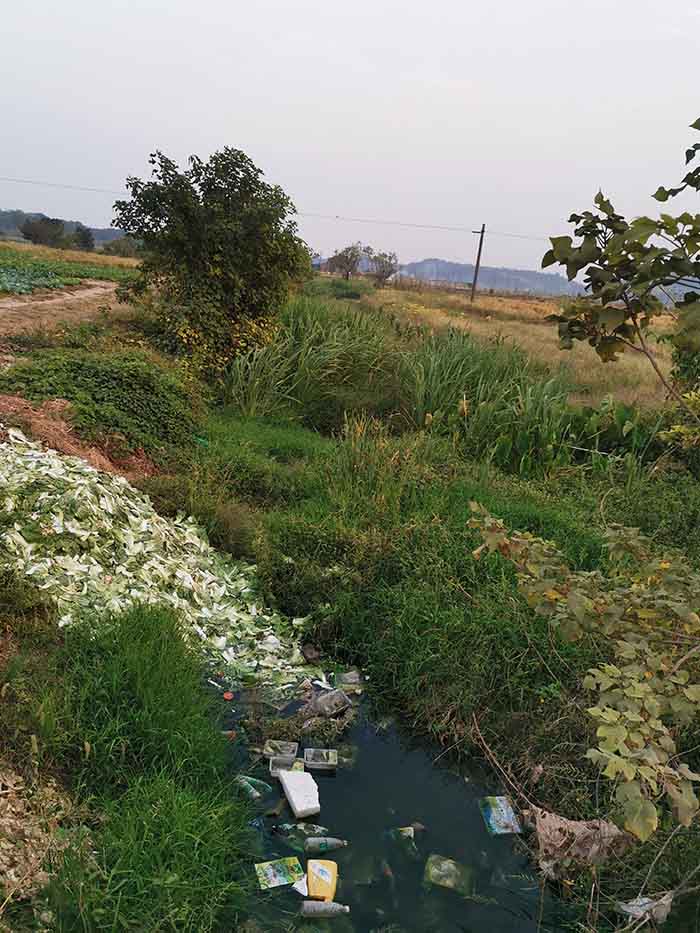 衡陽縣蒸水流域山水林田湖草生態保護榴莲视频网站进入口工程試點項目