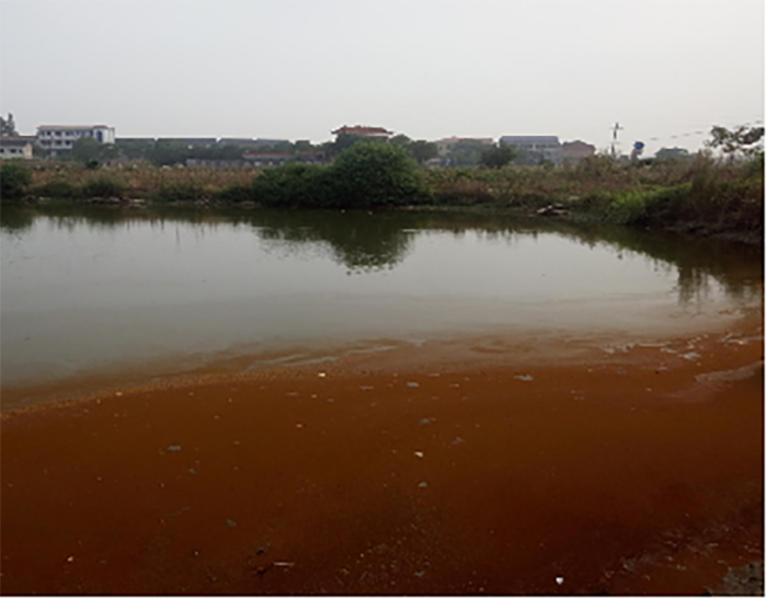 衡陽縣蒸水流域山水林田湖草生態保護榴莲视频网站进入口工程試點項目